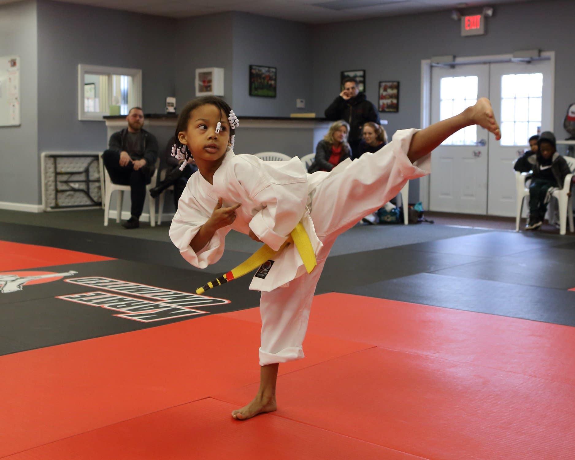 Karate Unlimited Gallery Photo Number 17